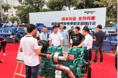 頂博電力為您揭秘濰柴發(fā)電機(jī)市場(chǎng)火爆背后的奧秘