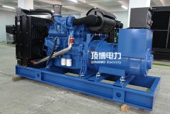 頂博電力玉柴柴油發(fā)電機(jī)組有哪些卓越的性能特點(diǎn)？