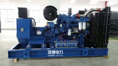 為什么企業(yè)不選擇天然氣或汽油發(fā)電機(jī)作為備用電源？